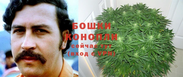стаф Майский