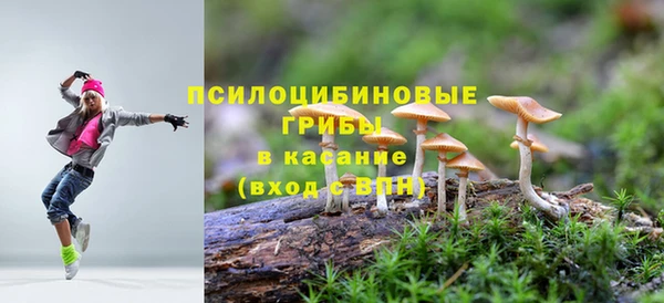 стаф Майский