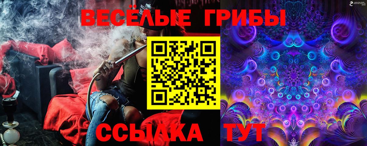 Златоуст  Псилоцибиновые грибы GOLDEN TEACHER  Вход с VPN  Галлюциногенные грибы GOLDEN TEACHER 