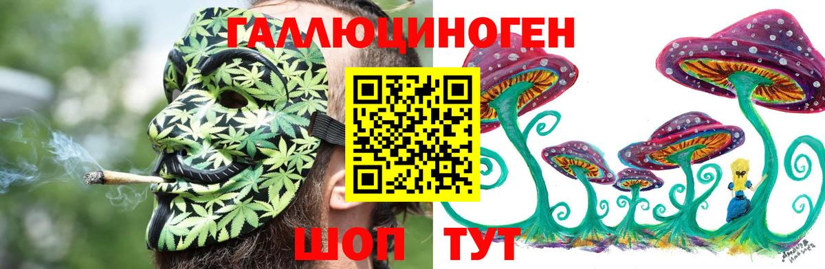Псилоцибиновые грибы Cubensis Златоуст